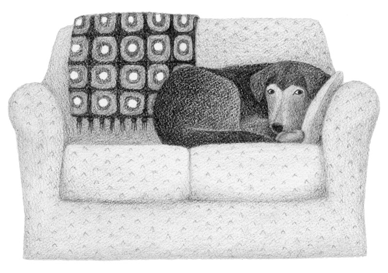 dog-on-couch-drawing